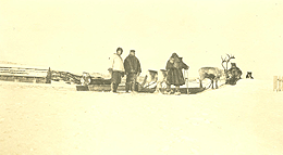 reindeer sled 